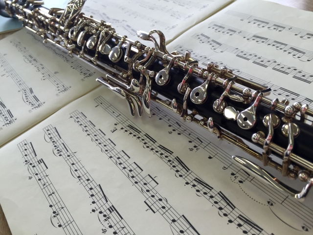 Music Academy Of Greater Milwaukee Auditions